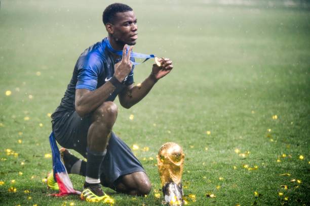 中井卓大展 中井卓大展